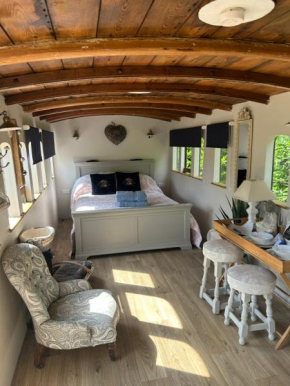 Hideaway carriage